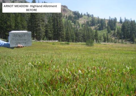 Grazing photo examples by the Central Sierra Environmental Resource Center (CSERC), 2013