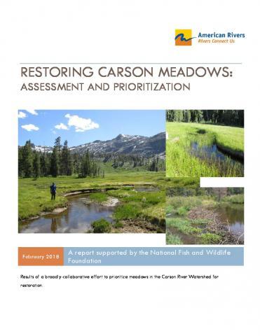Restoring Carson Meadows: Assessment and Prioritization