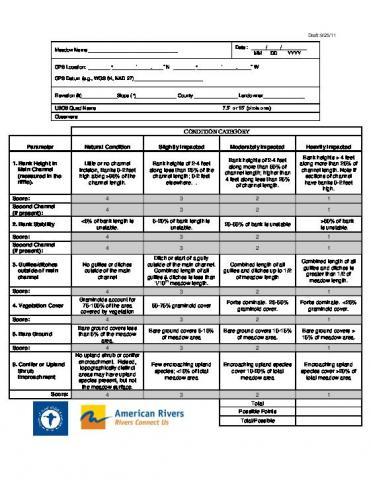 Meadows Assessment Scorecard