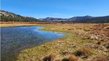 Van Norden Meadow