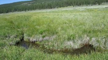 2 Headcuts, below upper transect