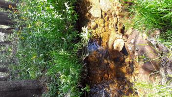 West Forni