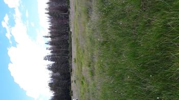 West Forni
