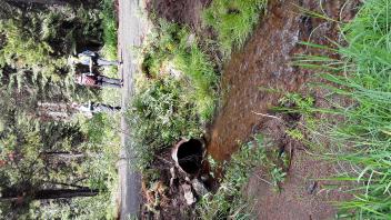 Chimney Flat