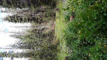 Chimney Flat