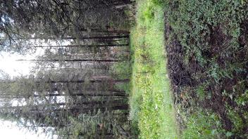 Chimney Flat