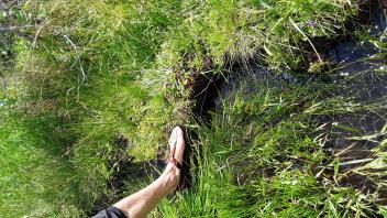 Lower Forni