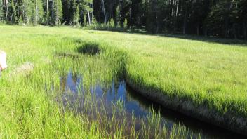 2nd channel in lower meadow