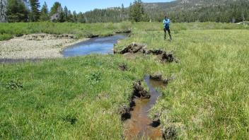 2nd headcut, upper meadow