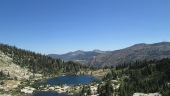 Above the Meadow