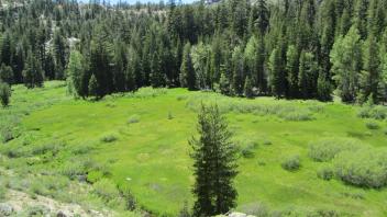 Above top of meadow (upper section) looking down