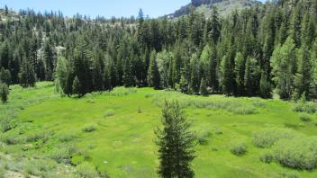 Above top of meadow (upper section) looking down