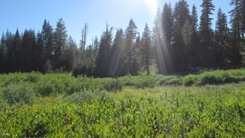 Across transect 3, view to WNW