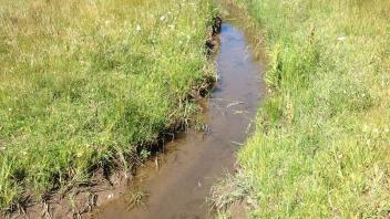 Active irrigation in middle meadow