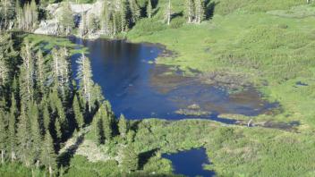 Aerial of beaver pond