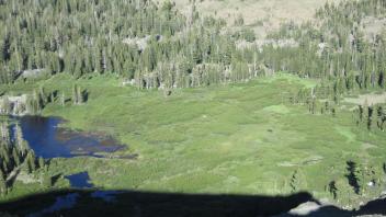 Aerial of meadow from the west