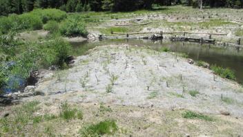 Bank stabilization restoration