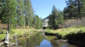 Beaver dam blowouts