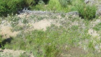 Behind beaver dam, showing sediment build-up