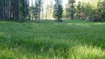 Biggest meadow fragment (bottom to top)