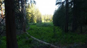 Biggest meadow fragment (top to bottom)