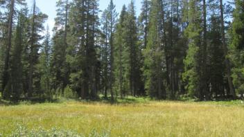 Bottom Transect (left to right)