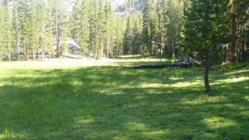 Bottom of Meadow 2