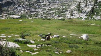 Bottom of Meadow 3