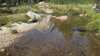 Bottom of Meadow
