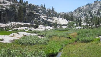 Bottom of Meadow