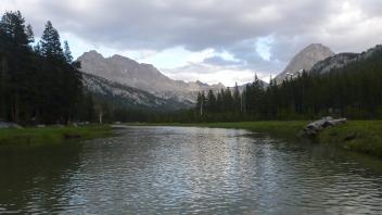 Bottom of Meadow