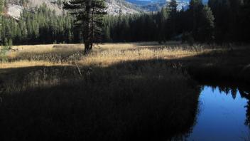 Bottom of Meadow