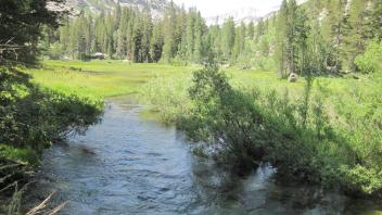 Bottom of Meadow