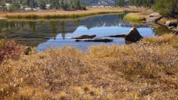 Bottom of Meadow