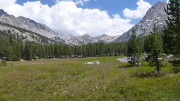 Bottom of Meadow