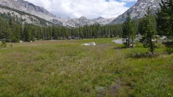 Bottom of Meadow