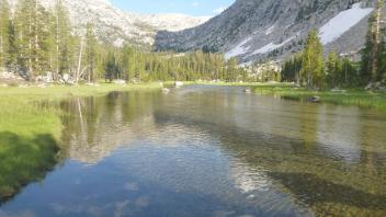 Bottom of Meadow