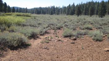 Bottom of eastern stringer looking up (below middle transect)