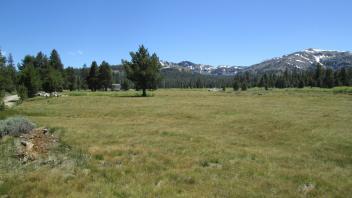 Bottom of meadow looking south