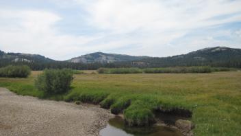 Bottom of meadow looking southwest