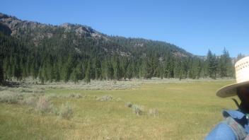 Bottom of meadow looking southwest