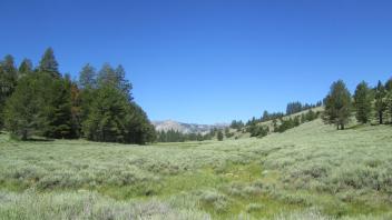 Bottom of meadow looking west