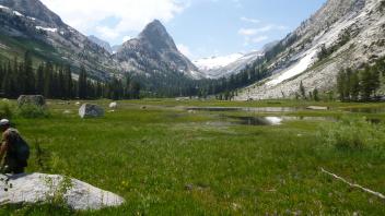 Bottom of meadow