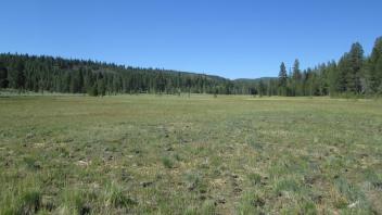 Bottom of meadow