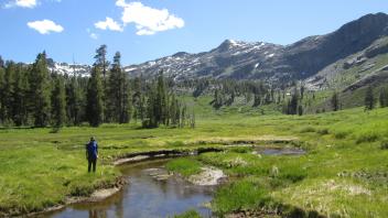 Bottom of meadow