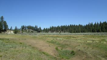Bottom of the meadow