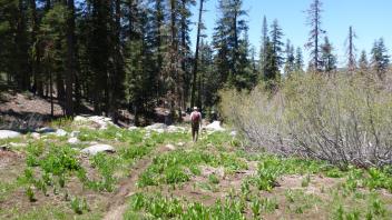 Bruce on trail