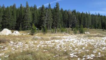 Channel 2 (left to right)