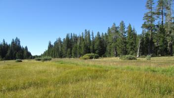 Channel Course Altered at Airstrip