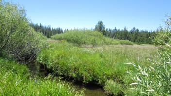 Channel Downstream